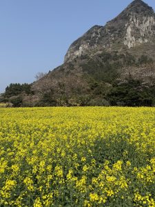2026 항공우주학회 춘계학술대회